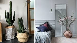 Cette plante se sent bien dans un parterre de fleurs ou dans un pots. Quelles Plantes Choisir Pour La Deco De Sa Chambre M6 Deco Fr