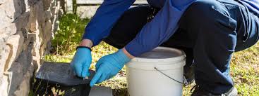 Hasar gören ürünler, sinir bozucu sinirler, uykusuz geceler eşlik eden çarpıklık ve hışırtı köşelerinde sağlanır. Fare Ilaclama Nasil Yapilir Fareler Ile Mucadele Atlas Turk Ilaclama