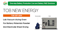 DZF 6020 Lab Vacuum Drying Oven