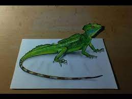 How To Draw Basilisk Lizard - Youtube