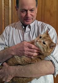 With one focus (solitary) and multiple (diffuse). Feline Leukemia Virus Felv Leads To Secondary Diseases Veterinary Medicine At Illinois