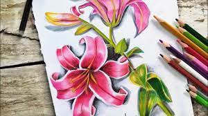 It's not easy to draw a realistic drawing, but the effects are definitely worth it. How To Draw Realistic Flower With Colored Pencil Drawing Pencildrawing Youtube