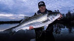 Lake Texoma Has Some Great Cold Weather Fishing And The Potential To Produce Some Of The Biggest Fish Of The Year Lake Texoma Striper Fish