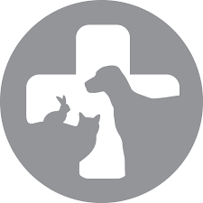 168 likes · 3 talking about this · 242 were here. Home Veterinarian In San Jose Ca Ark Veterinary Care