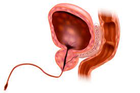 However, during the treatment period, finish the whole course of treatment until the and do a recheck after treatment. Urethritis Factdr