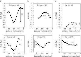 In modern environments the isotopic composition of carbon in methane gas can be used to assess biological production, with values reaching below. Distinguishing Sheep And Goats Using Dental Morphology And Stable Carbon Isotopes In C4 Grassland Environments Sciencedirect
