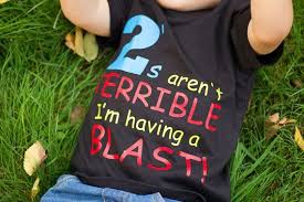 2nd Birthday Boy Shirt Ideas 2nd Birthday Shirt Boy Terrible Two S Boys Second Etsy In 2020 2nd Birthday Gifts Birthday Boy Shirts Boy Birthday Pictures