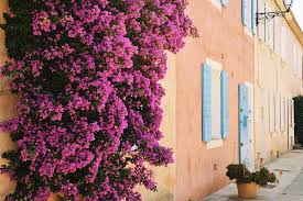 This French Island Is The Nantucket Of The Mediterranean Island Nantucket Vacation Goals