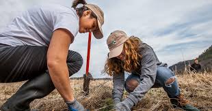 Maybe you would like to learn more about one of these? Volunteer With The Nature Conservancy In Vermont