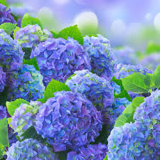 Maybe you would like to learn more about one of these? Hfz2uuujr6rq4m