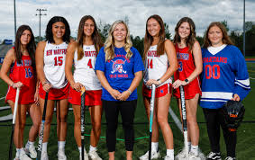 Image result for Ochna hackarsii