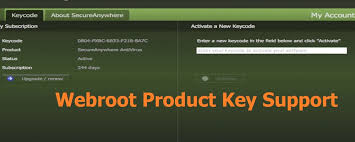 Image result for pic of webroot