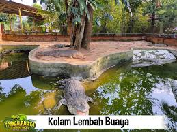 Taman buaya melaka 2020 wisata malaysia taman buaya melaka merupakan tempat menarik di melaka yang terletak di ayer. 10 Aktiviti Best Giler Taman Buaya Rekreasi Melaka Facebook