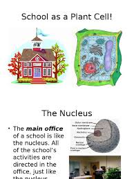 Animal cell analogy nuclear membrane. School Cell Analogy Ppoint Cytoplasm Cell Biology