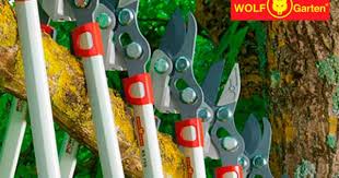 Pin On Gardening Group Board