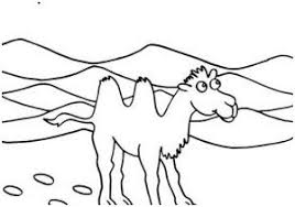 Coucou tout le monde on se retrouve aujourd'hui dans un nouveau vlog mail: 13 Coloriage Dromadaire Ideas Coloriages Gratuits