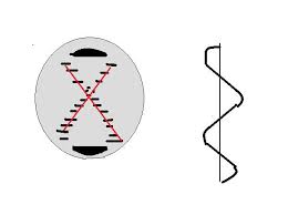 Active 4 years, 2 months ago. Structural Biochemistry Volume 8 Wikibooks Open Books For An Open World