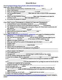 All written answers must be written in go to mr. Biology Meiosis Worksheets Teaching Resources Tpt