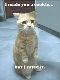 I made you a cookie but i eated it. I Made You A Cookie But I Eated It Know Your Meme