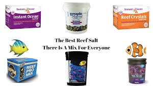 Best Reef Salt Mix Choosing The Best Salt For Your Tank