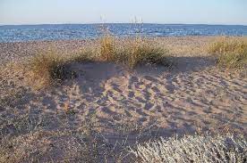 In der mittagssonne landeten wir in istanbul und machten uns gleich auf den weg zu unseren freuden claudia und engin ins apartment. Agva Strand Am Schwarzen Meer Picture Of Istanbul Turkey Tripadvisor