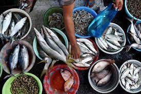We did not find results for: Harga Ikan Laut Di Pasar Tradisional Bangka Naik Terimbas Cuaca
