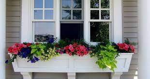 Water thoroughly and allow to dry slightly between waterings. 12 Best Plants Flowers For Window Boxes Partial Sun