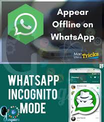 Can You Use Whatsapp Without A Phone Whatsapp Whatsappupdate How To Go Invisible On Whatsapp Without Deleting App Also It Is Not Possible To Delete And Reinsta Gangster S Tech News Supportive