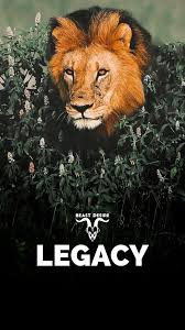 Beast Desire Wallpaper Beast Animal Photography Wildlife Crazy Girl Quotes