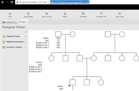 4 Best Free Online Pedigree Chart Maker Websites