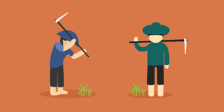 Apakah anda mencari gambar desain karakter kartun petani template psd atau file vektor? Jika Regenerasi Tersendat 50 Tahun Lagi Tak Ada Petani Di Indonesia Merdeka Com