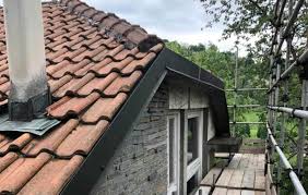 Terreno di circa 2,5 ettari piantumato con alberi da frutto e 43 ulivi di cui 4 secolari. Ristrutturazione Casa Di Campagna A Torino Iri Edile Ristrutturazioni