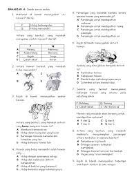 Draf soalan kssr tmk tahun 5 via bmtmkcikgujr.blogspot.my. Ujian Sains Tahun 6