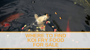 We did not find results for: How Long For Koi Eggs To Hatch