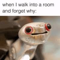 Funny Meme Gifs Get The Best Gif On Giphy funny meme gifs get the best gif on giphy