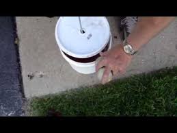 Homemade Lax Ball Degreaser Backyard Sports Degreasers Backyard Activities