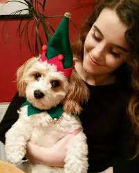 Santa's little helper🐶💗🎅🏻