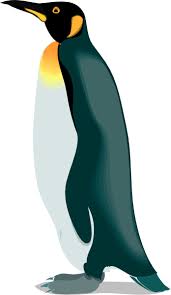 Download 2,435 penguin clipart stock illustrations, vectors & clipart for free or amazingly low rates! 57 Free Penguin Clipart Cliparting Com