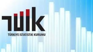 Türkiye i̇statistik kurumu başkanlığı (tüi̇k). Tuik Nedir Tuik Gorevleri Ve Tarihcesi