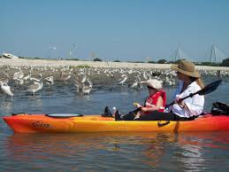 Lowcountry Sc Kayaking June 2011