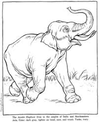 Animals pictures of elephants, lions, tigers, and bears and more zoo coloring pages and sheets to color. Zoo Animals Coloring Pages