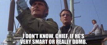 YARN | I Don't Know, Chief, If He's Very Smart Or Really Dumb. | Jaws |  Video gifs by quotes | 25556894 | 紗