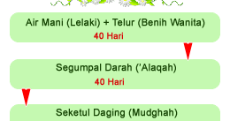 7 perkara wanita patut tahu tentang d&c selepas keguguran. Maria Firdz Lifestyle Blogger