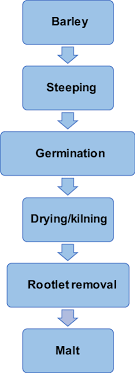 5 Flow Chart Of The Malting Process Download Scientific