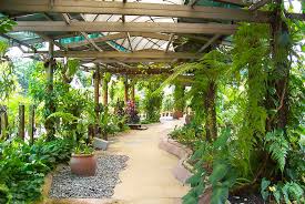 Taman bunga tanjung mahang, mahang, kedah, malaysia. Taman Bunga Kuala Lumpur Malaysia Sirb Travel Tours