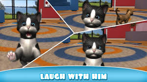 Cat Simulator Daily Kitten 2017 New Funny Cute Simulation Cat Simulator Cats Kitten