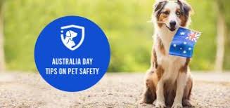 Top rated products and best sellers. Best Discount On Pet Supplies On Australia Day Vetsupply Blog
