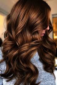 Hairs are everything for humans some of us like hair with long length, short length or medium length. Hair Salon Near Me Ladies The Hairless Cat Suction Cup On Hair Salon Near Me Keratin Over Hair Salon Near Me Hair Styles Summer Hair Color Brunette Hair Color