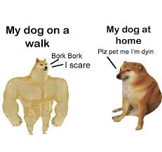 4,570 likes · 111 talking about this. Pin On Dankmemes