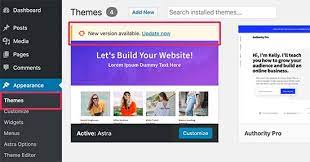 Whether you are using a free or a paid theme or plugin, when there are new version updates available, you will receive a message on your wordpress dashboard. How To Update Wordpress Theme Without Losing Customization